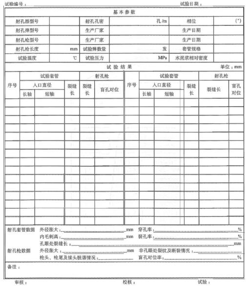 图 3 模拟井射孔试验数据表格式