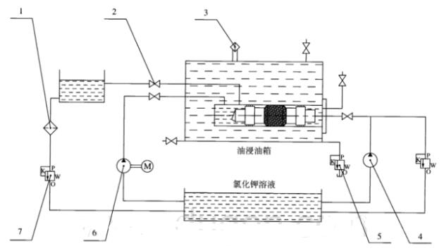 图 1 可溶桥塞检验装置示意图